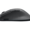 2c747b7e-22f0-4c4d-96b9-39bad5051e28 LENOVO Professional Bluetooth Mouse