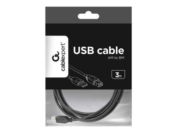 2e91ea61-f42a-4387-b843-d85cab240658 GEMBIRD CCP-USB2-AMBM-10 USB 2.0