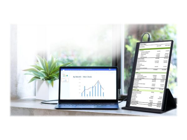 ASUS ZenScreen MB166C 15.6inch IPS FHD