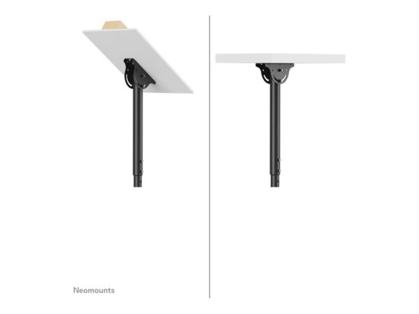 NEOMOUNTS NM Monitor CeilingMount 32-60i