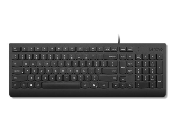 95b7915f-2f49-44a5-af00-793c0f026280 LENOVO Essential Wired Keyboard (US)