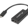 a893a795-81c8-4559-9e0a-22c131c0c850 LANBERG AD-UC-DP-01 adapter USB TYPE-C
