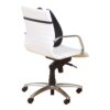 KENSINGTON K60412WW Back Support