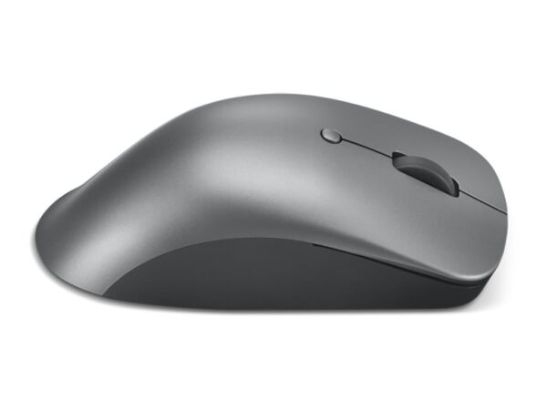 d81c9686-b9d6-491e-81ae-77a132671762 LENOVO Professional Bluetooth Mouse