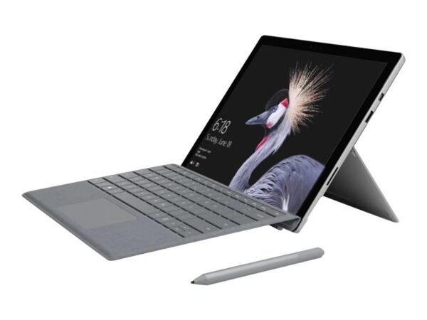 dde4f875-43fa-4837-ae1f-81f23a50536e MS Pro 11 5G 15i Pls 16/256 W11P SC Plt
