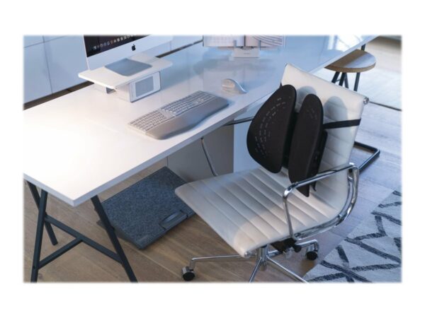 KENSINGTON K60412WW Back Support