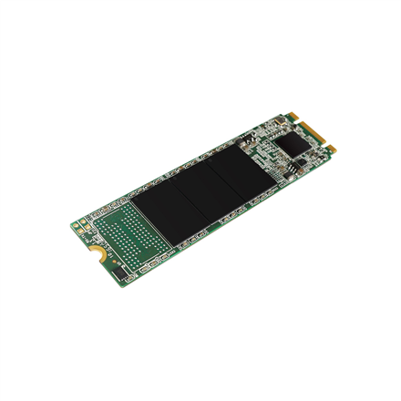 440x440 Silicon Power | A55 | 256 GB | Solid-state drive interface M.2 SATA | Read speed 550 MB/s | Write speed 450 MB/s