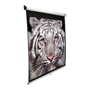 Elite Screens | Manual Series | M99NWS1 | Diagonal 99 ” | 1:1 | Viewable screen width (W) 178 cm | White