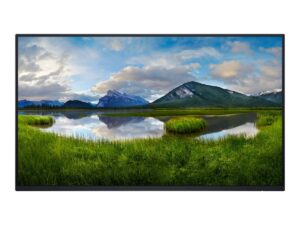 original Dell | Monitor Without Stand | P2425H | 24 ” | IPS | 16:9 | 100 Hz | 8 ms | 1920 x 1080 pixels | 250 cd/m² | HDMI ports quantity 1 | Black | Warranty 36 month(s)