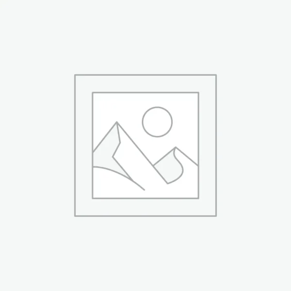 woocommerce-placeholder PATRIOT P410 1TB PCIe Gen 4 x4 M.2 SSD